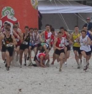 chute2.jpg