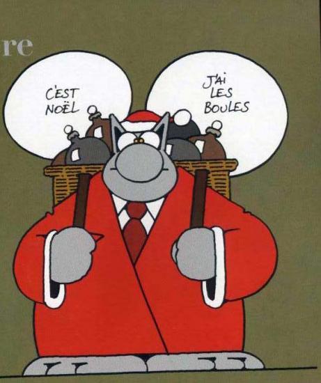 le-chat-les-boules-3.jpg
